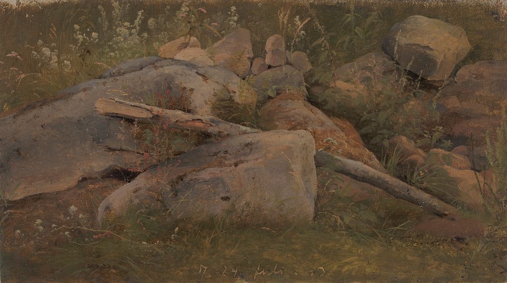 Study of a pile of stones by Vilhelm Petersen