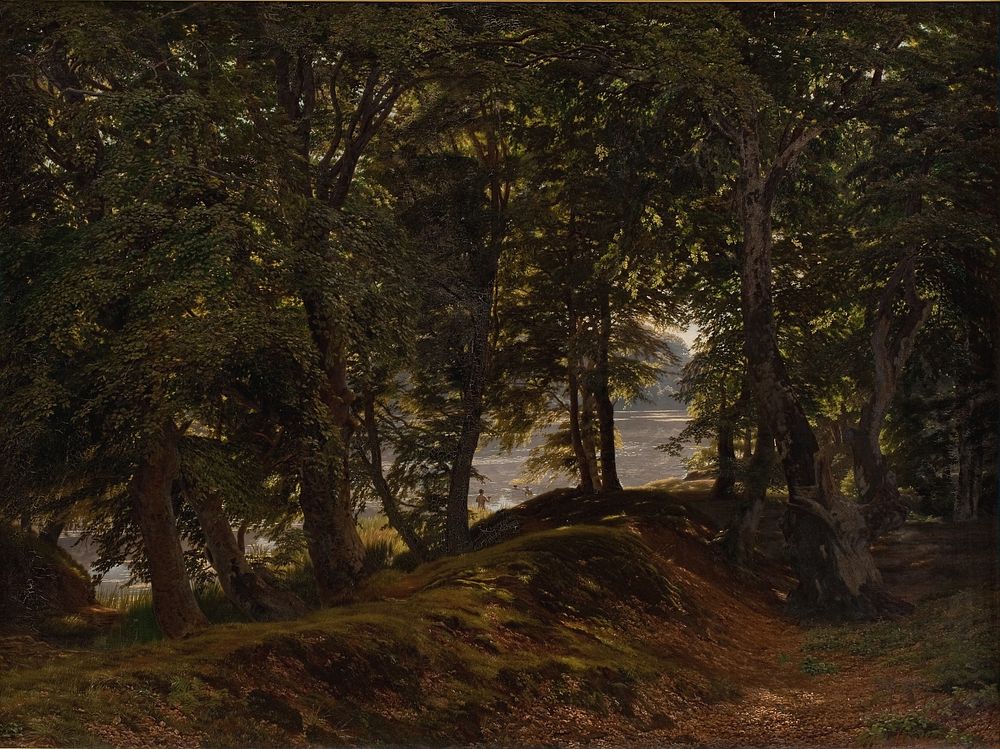 A shady spot in Hestehave near Frederiksborg by Godtfred Rump