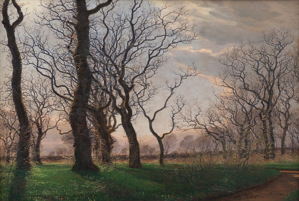 On the edge of an oak forest on an early spring morning by Janus La Cour