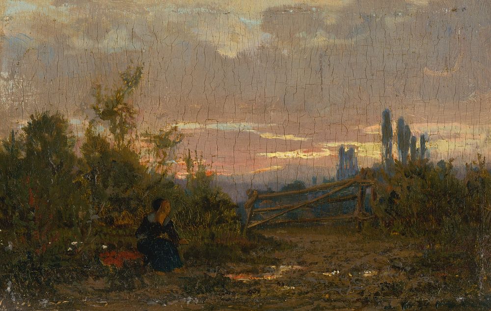 Early evening landscape