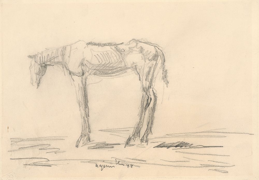 Emaciated horse by Cyprián Majerník