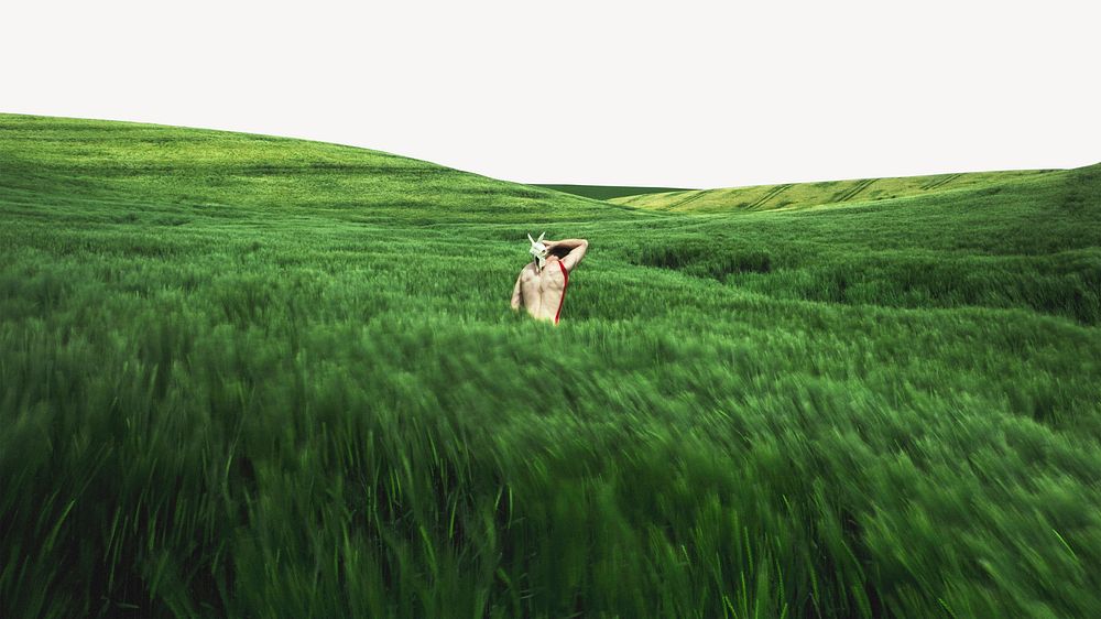 Green grass field desktop wallpaper, traveler standing in the middle psd