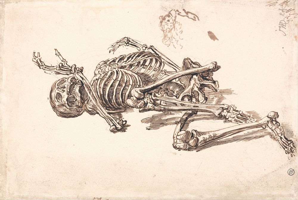 A Human Skeleton (1784-1859) by James Ward.