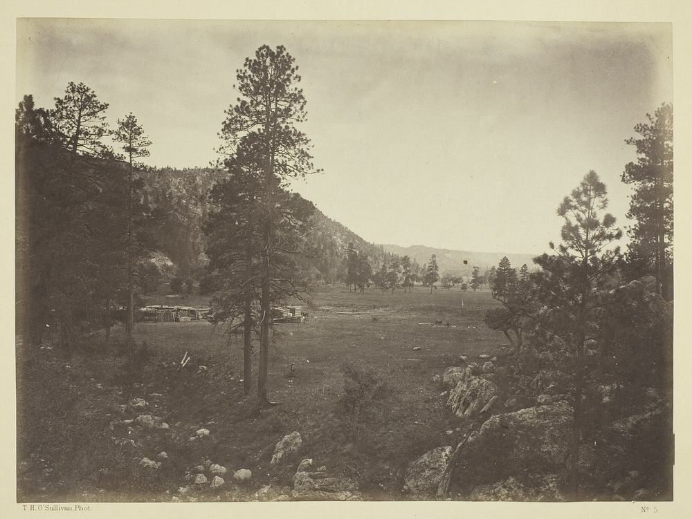 Cooley's Park, Sierra Blanca Range, Arizona by Timothy O'Sullivan