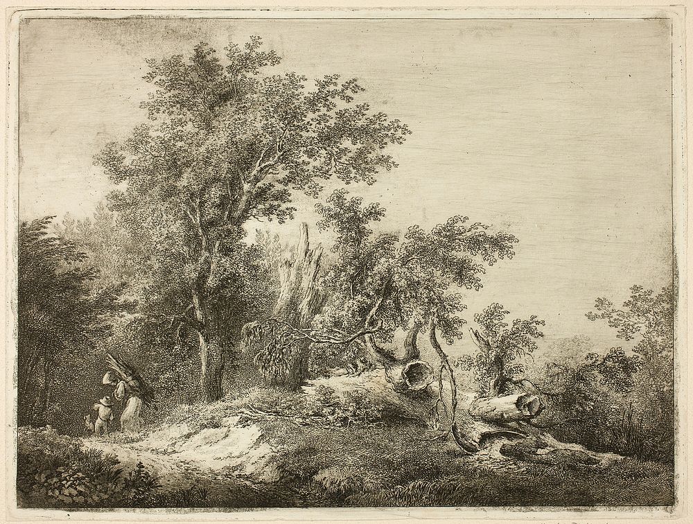 The Fallen Tree Trunk by Martin von Molitor