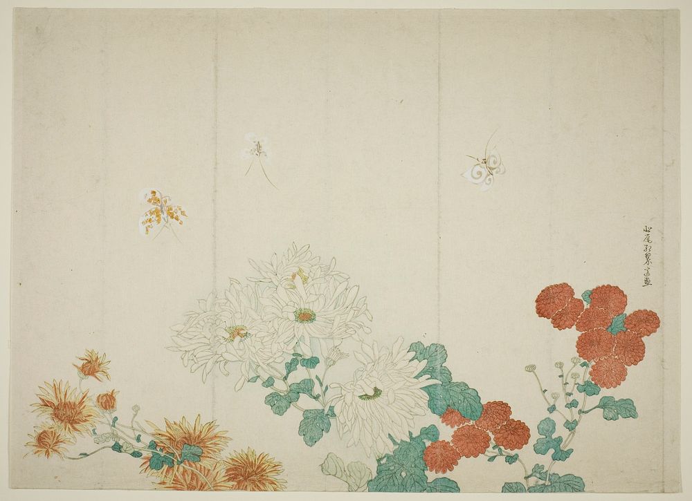 Three Types of Chrysanthemums by Kitao Shigemasa