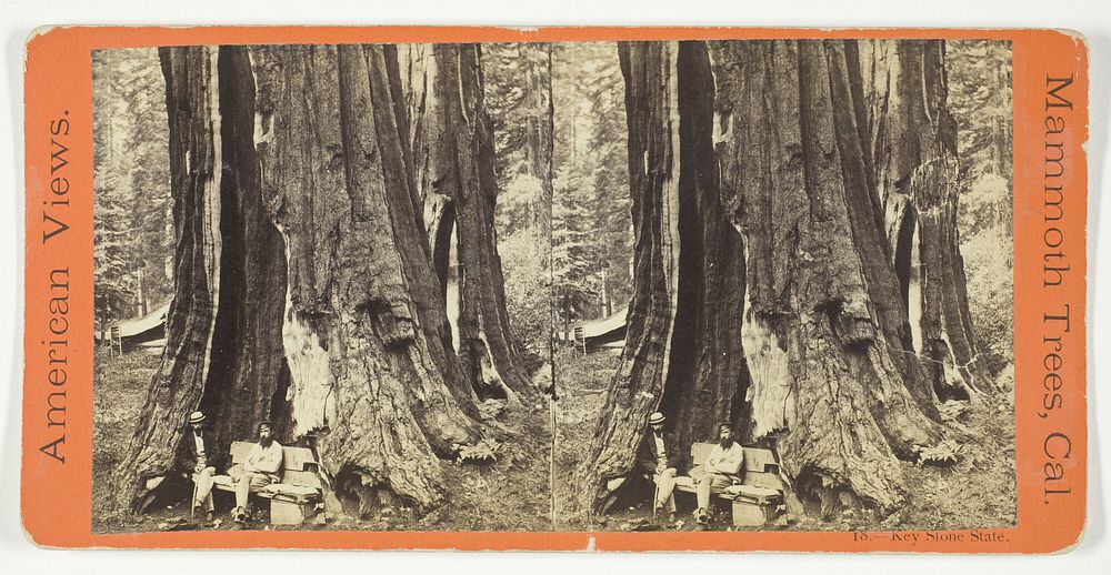 Key Stone State, No. 18 from the series "American Views, Mammoth Trees, California" by Anthony and Company (Editor)