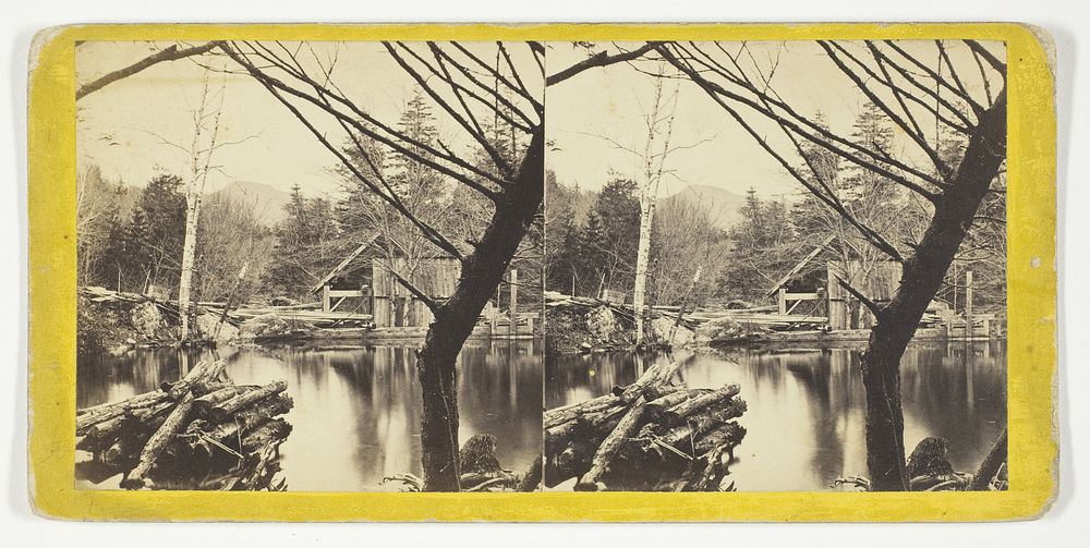 The Mill Pond near Laurel House, No. 9046 from the series "The Glens of the Catskills" by Anthony and Company (Publisher)