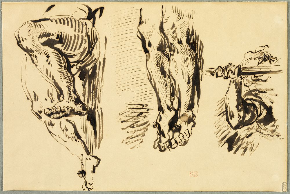 Study of Arms and Legs of Christ Crucified by Eugène Delacroix