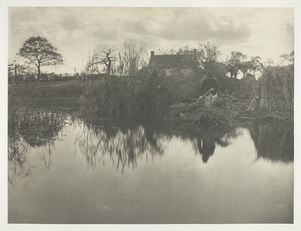 Quanting the Gladdon by Peter Henry Emerson