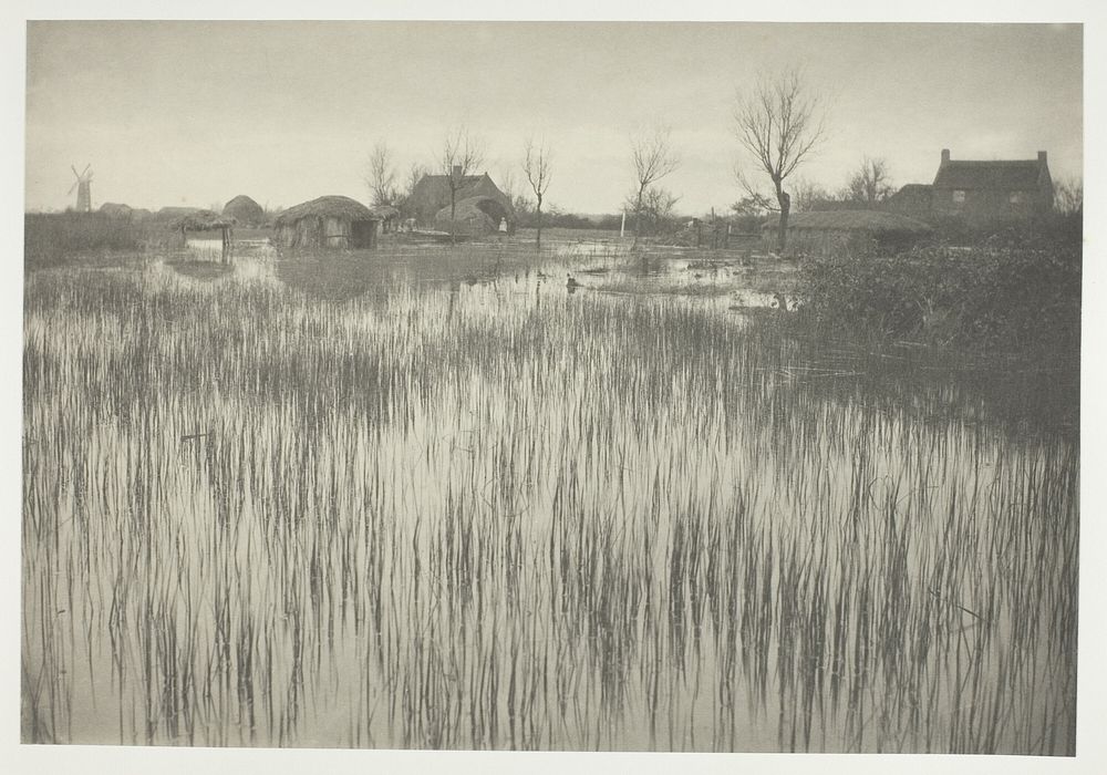 A Rushy Shore by Peter Henry Emerson