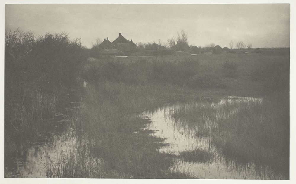 The Fringe of the Marsh by Peter Henry Emerson