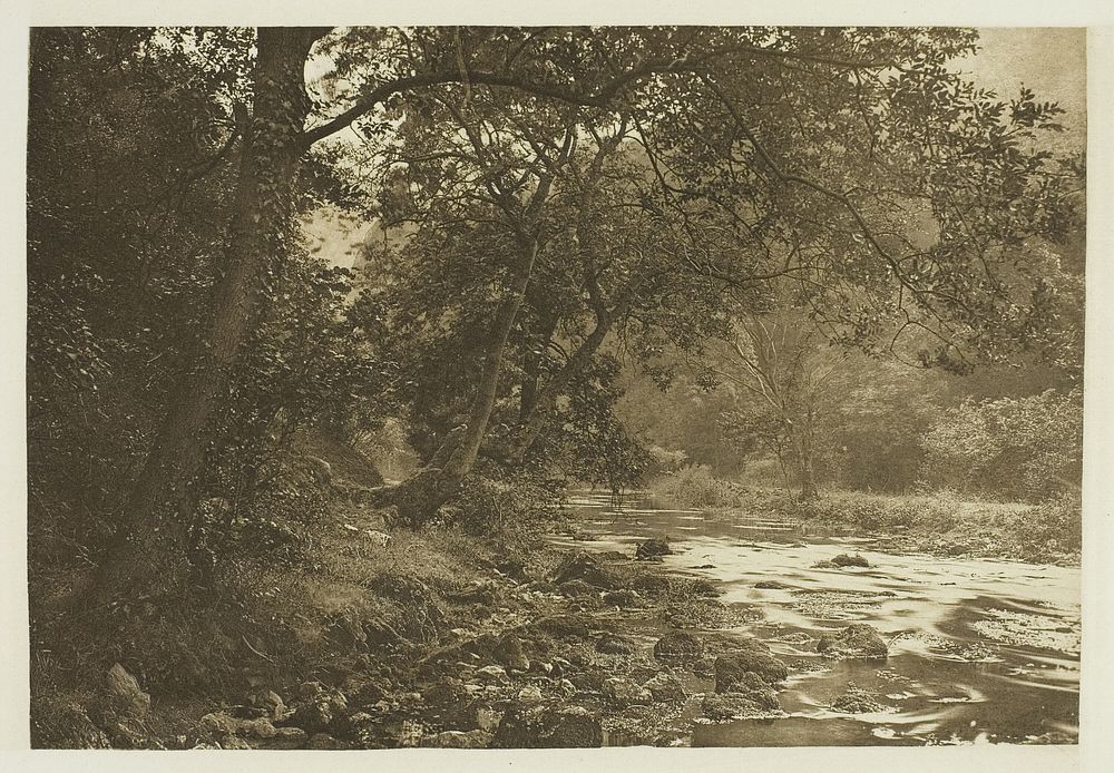 Near Reynard's Cave, Dove Dale by Peter Henry Emerson