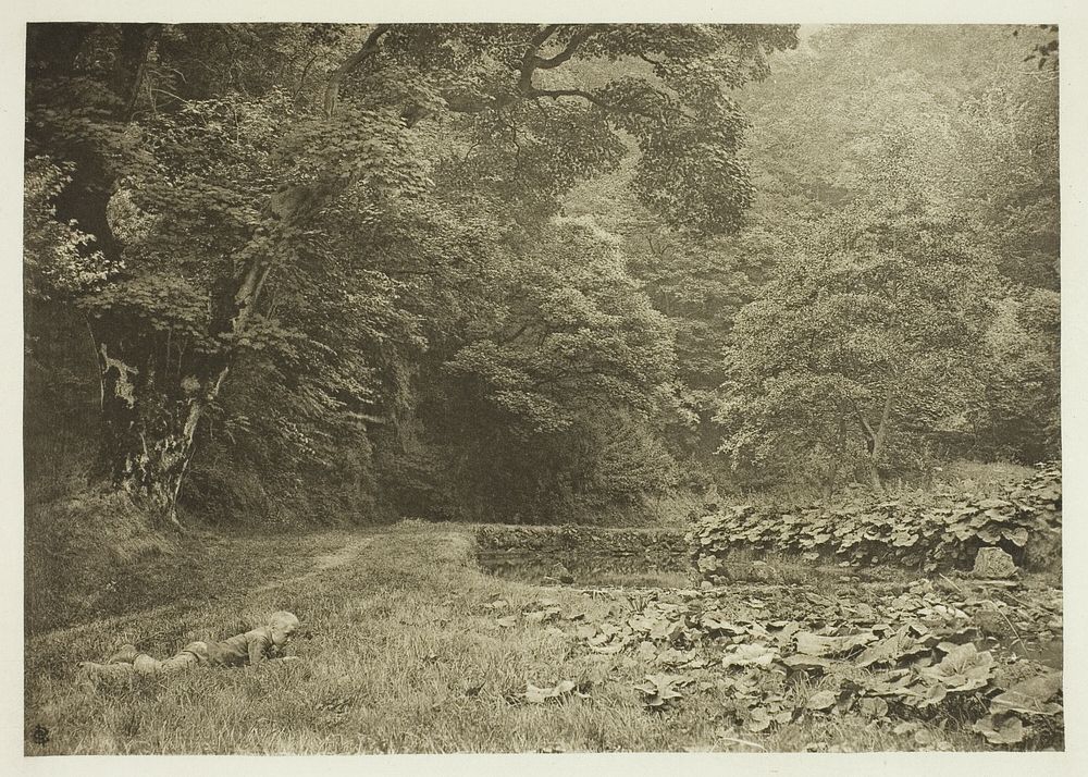 A Quiet Nook in Beresford Dale by Peter Henry Emerson