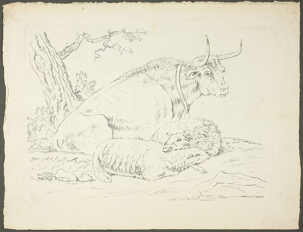 A Bull and Two Sheep by Pierre Lelu