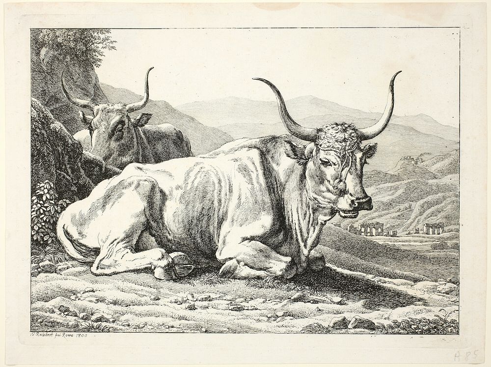 Two Roman Bulls Resting, from Die Zwiete Thierfolge by Johann Christian Reinhart