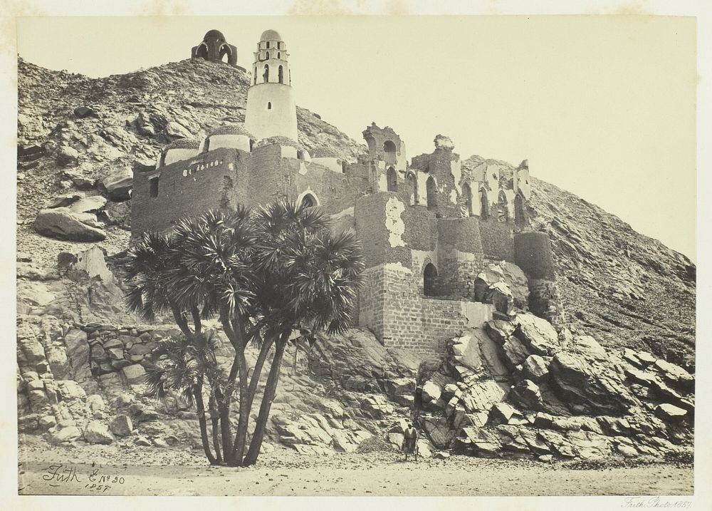 Doum Palm and Ruined Mosque, Philæ by Francis Frith