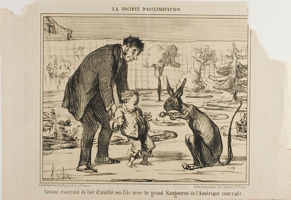A Scientist Trying to Befriend his Son with a Great Kangaroo from Central America, plate 3 from La Société D'acclimatation…
