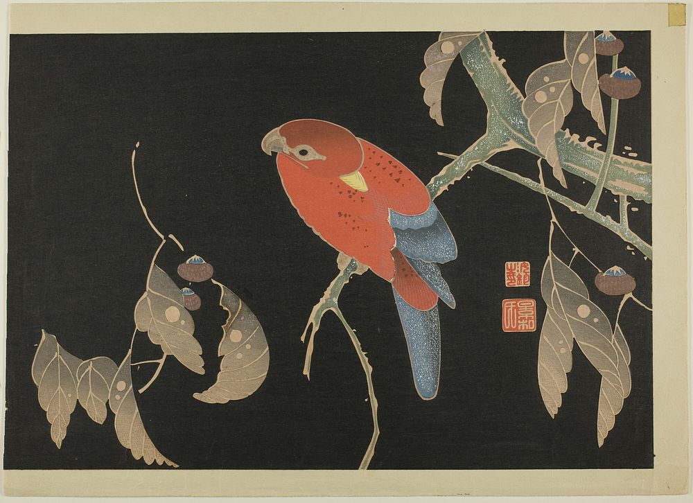 Red Parrot on the Branch of a Tree by Ito Jakuchu