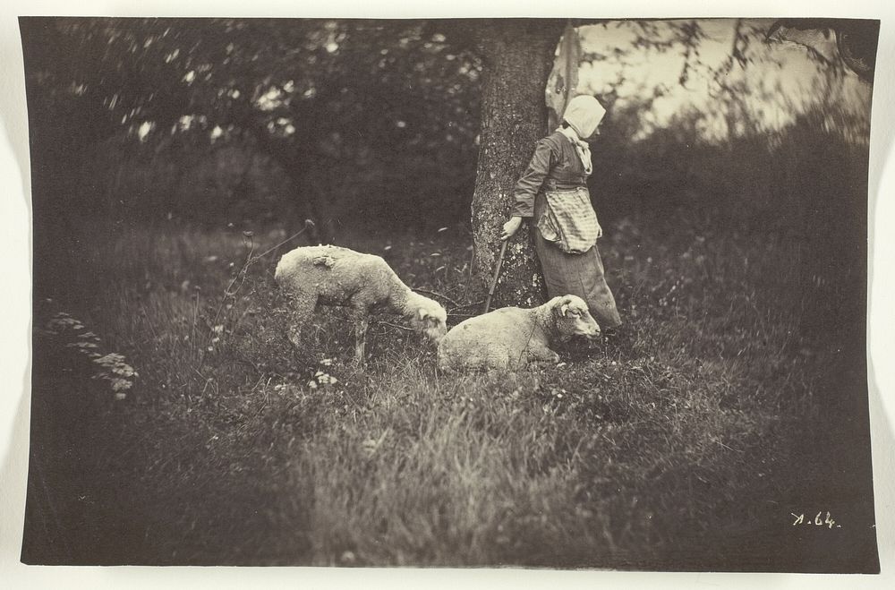 Shepherdess Leaning Against a Tree, with Two Sheep by Giraudon's Artist