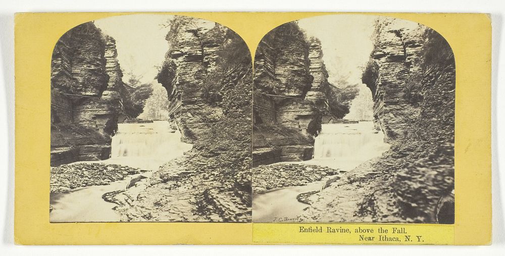 Enfield Ravine, above the Fall. Near Ithaca, N.Y. by J.C. Burritt