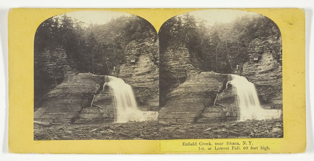 Enfield Creek, near Ithaca, N.Y. 1st, or Lowest Fall, 60 feet high by J.C. Burritt