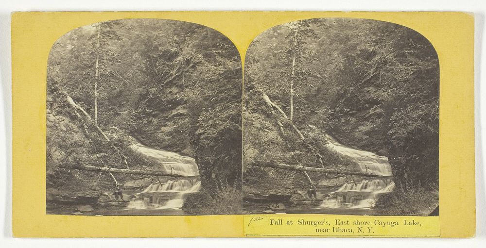 Fall at Shurger's, East shore Cayuga Lake, near Ithaca, N.Y. by J.C. Burritt