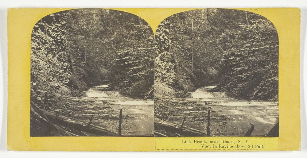 Lick Brook, near Ithaca, N.Y. View in Ravine above 2d Fall by J.C. Burritt