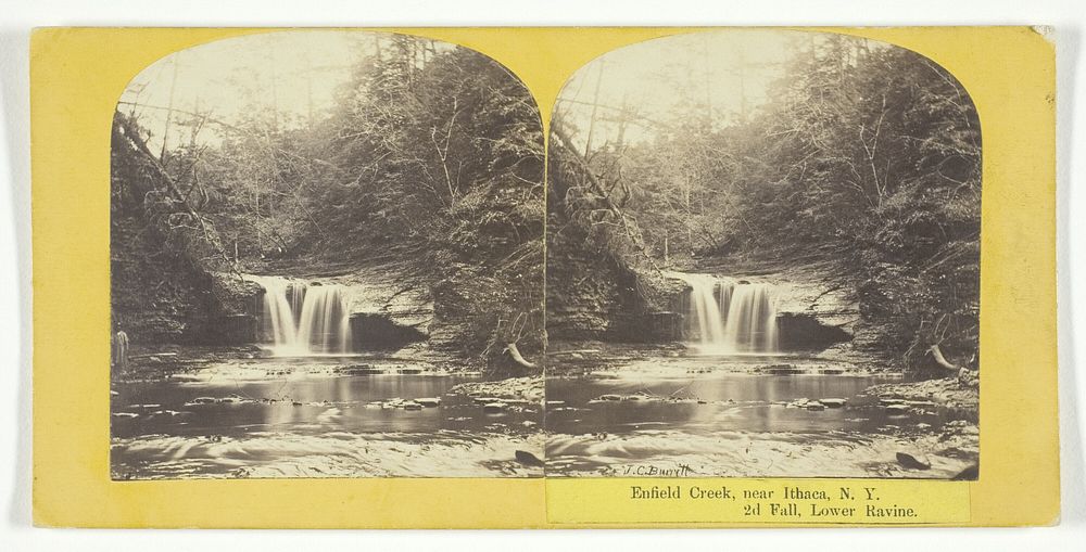 Enfield Creek, near Ithaca, N.Y. 2d Fall, Lower Ravine by J.C. Burritt
