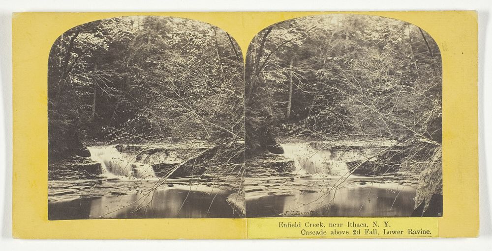 Enfield Creek, near Ithaca, N.Y. Cascade above 2d Fall, Lower Ravine by J.C. Burritt