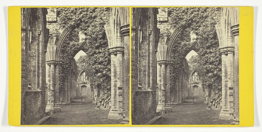 Tintern Abbey: South Aisles by Alexander Wilson
