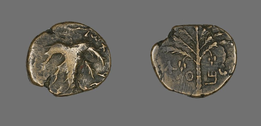 Coin Depicting a Palm Tree by Judean
