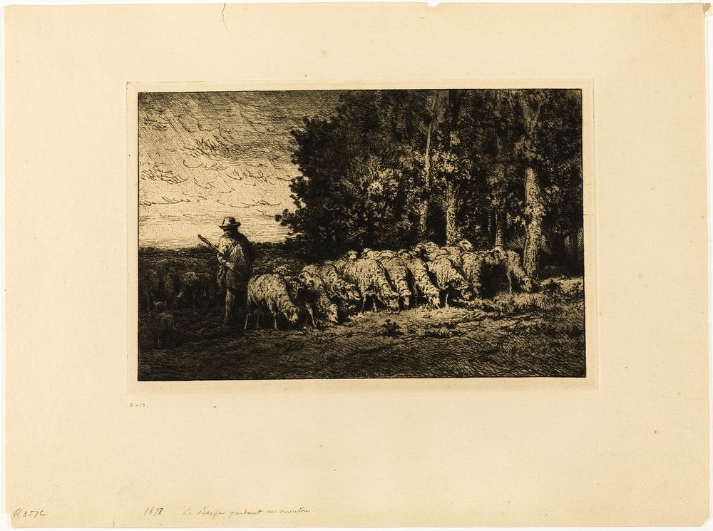 Flock of Sheep at the Edge of a Wood by Charles Émile Jacque