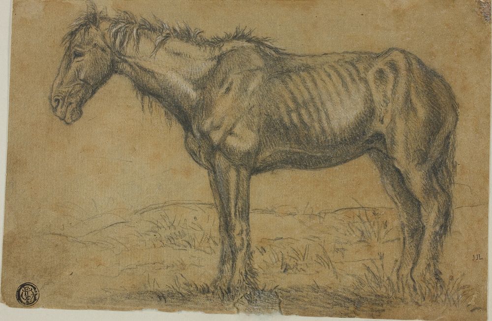 Emaciated Horse (recto); Frontal View of a Horse (verso) by Charles Émile Jacque