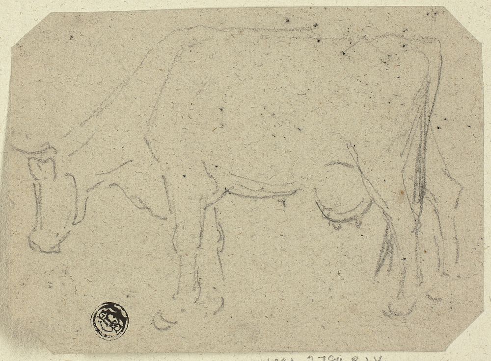 Cow Grazing (recto); Head of an Animal (verso) by Unknown