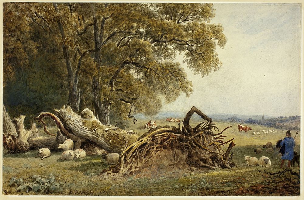 Sheep, Cows, and Herdsman by Uprooted Tree by Frederick Nash
