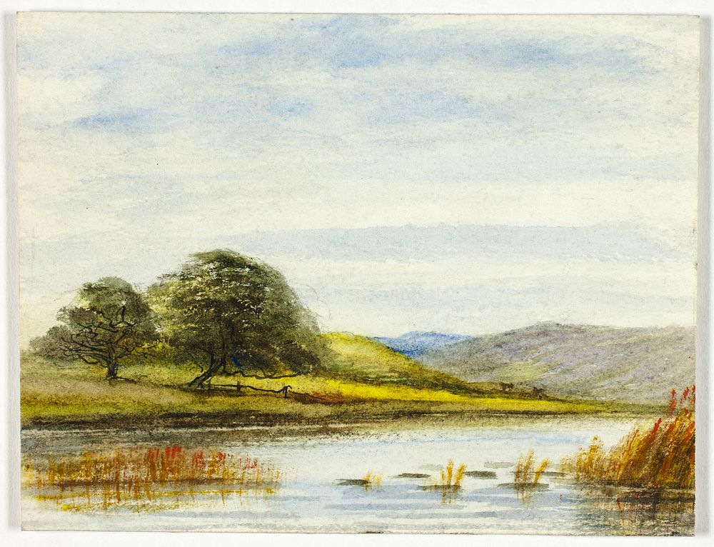 Marshy Landscape by Unknown artist