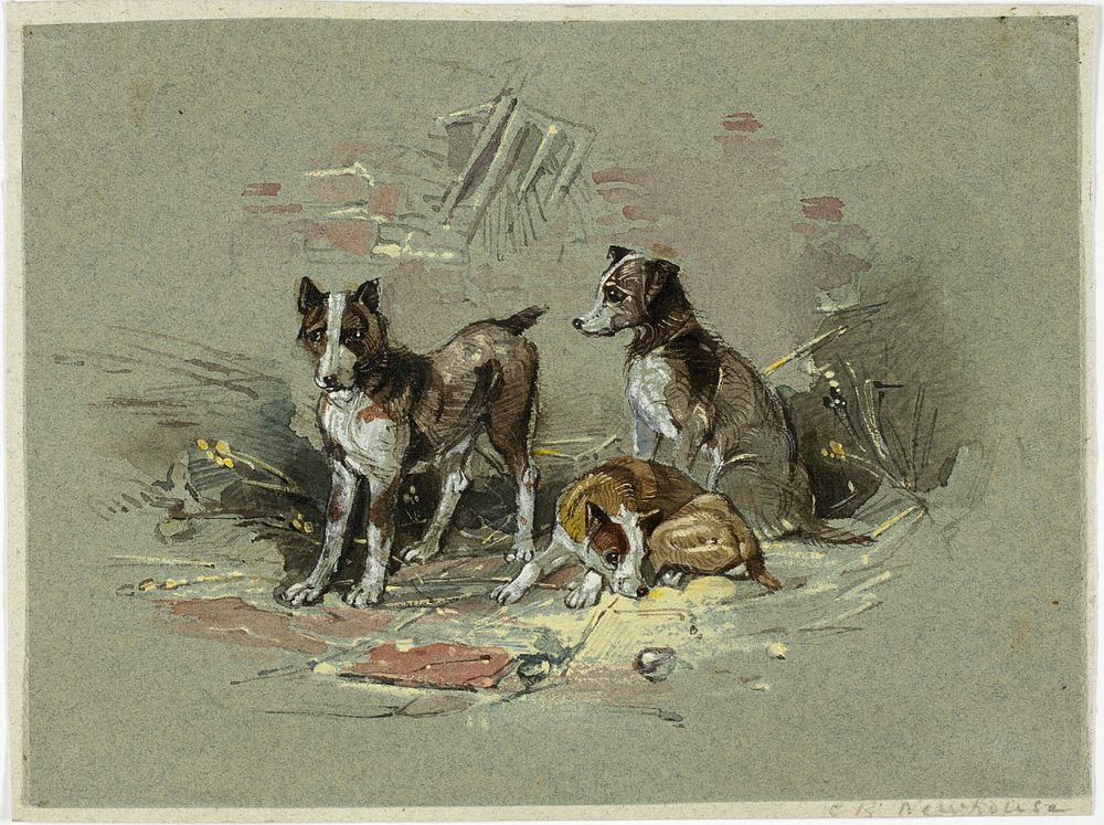 Three Dogs in an Alley by Charles B. Newhouse