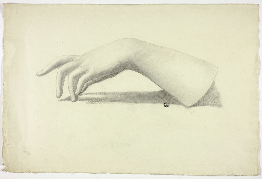 Left Forearm and Hand by Elizabeth Murray
