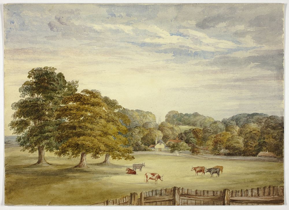 Six Cows Grazing before Country House by Elizabeth Murray