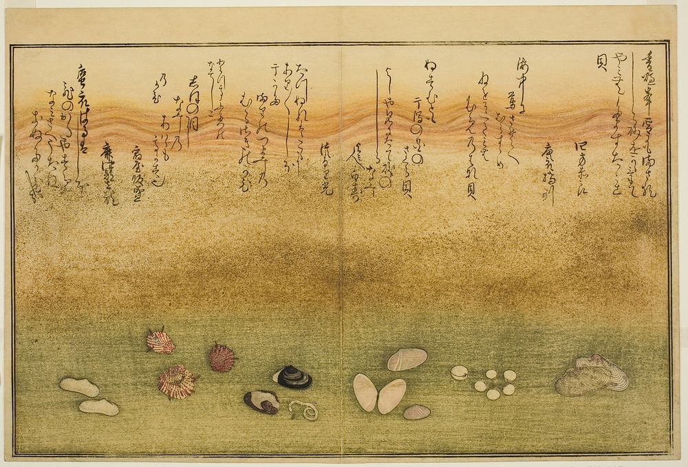 Sudare-gai, hana-gai, sakura-gai, mumeno-gai, nadeshiko-gai, and kinuta-gai, from the illustrated book "Gifts from the Ebb…