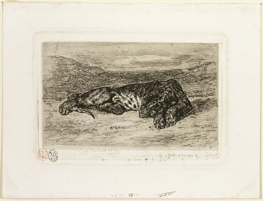 Tiger Resting in the Desert by Eugène Delacroix