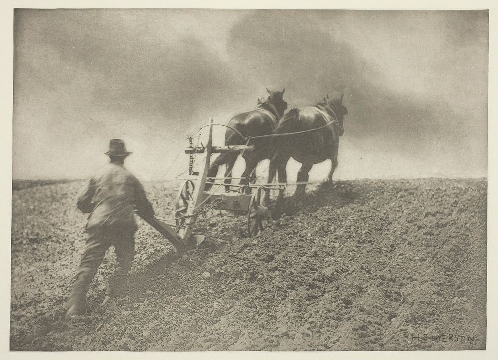 A Stiff Pull, (Suffolk) by Peter Henry Emerson