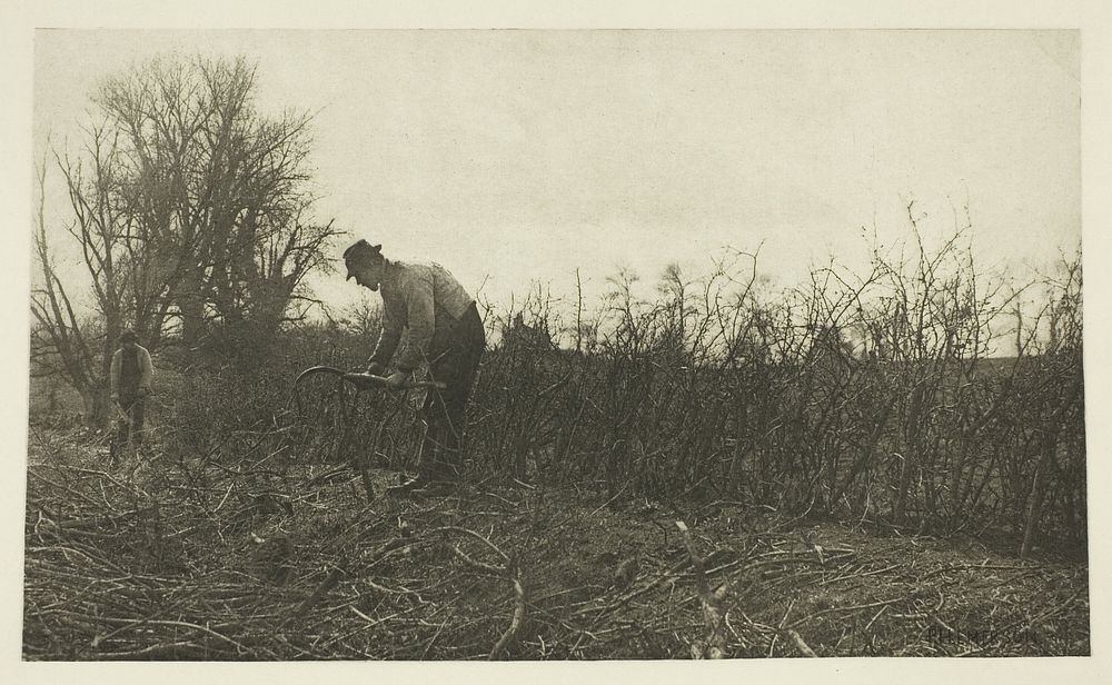 Fencing in Suffolk by Peter Henry Emerson