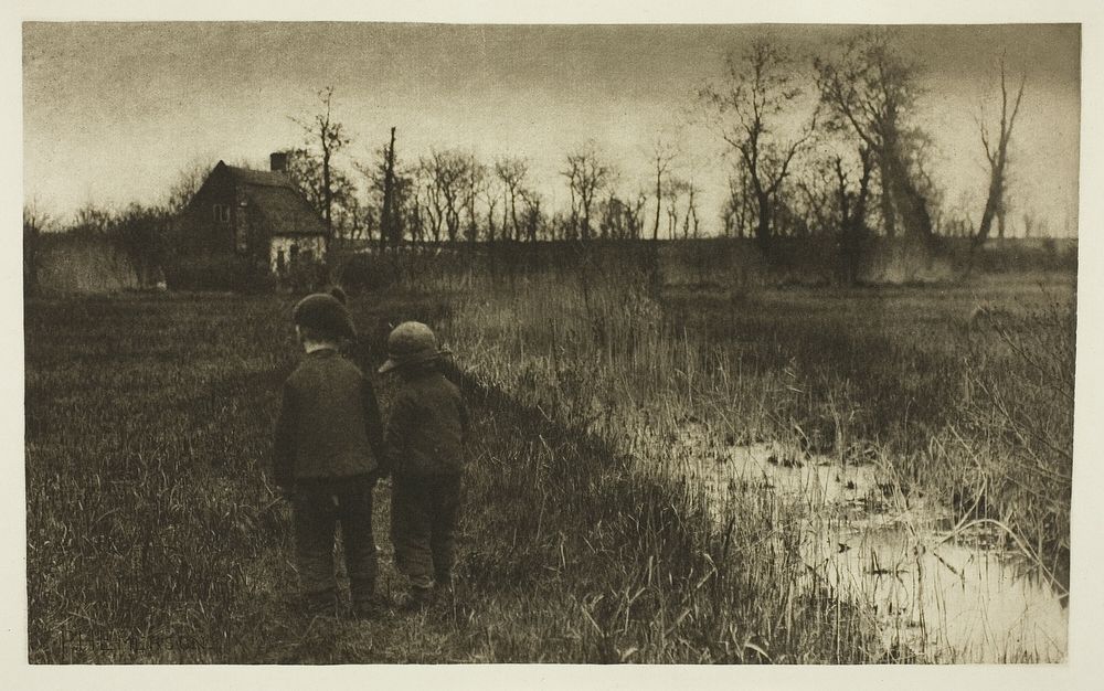 A Toad in the Path: Early Spring in Norfolk by Peter Henry Emerson
