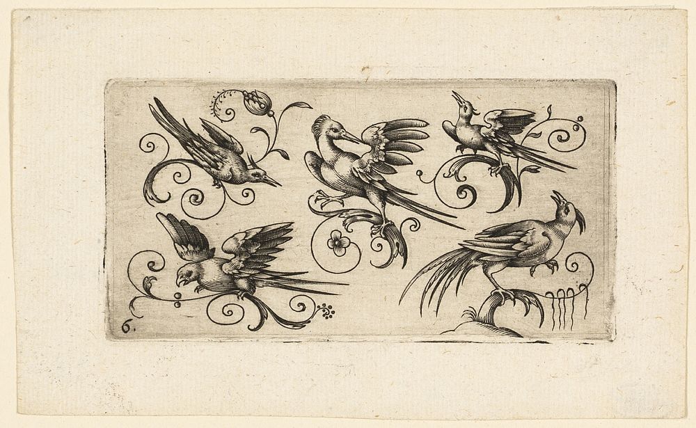 Ornament Panels with Birds: Plate 6 by Adrian Muntink