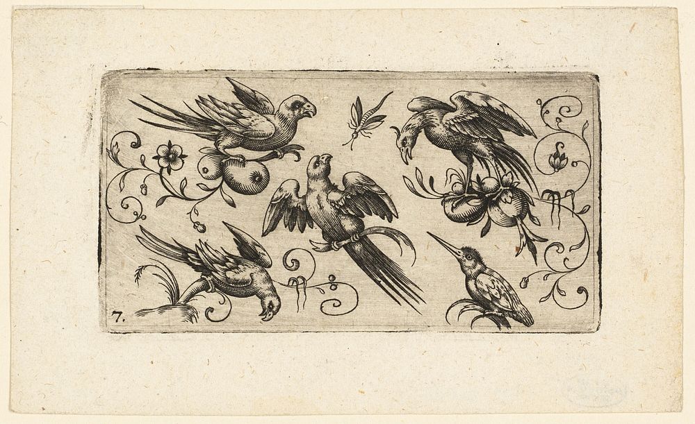 Ornament Panels with Birds: Plate 7 by Adrian Muntink