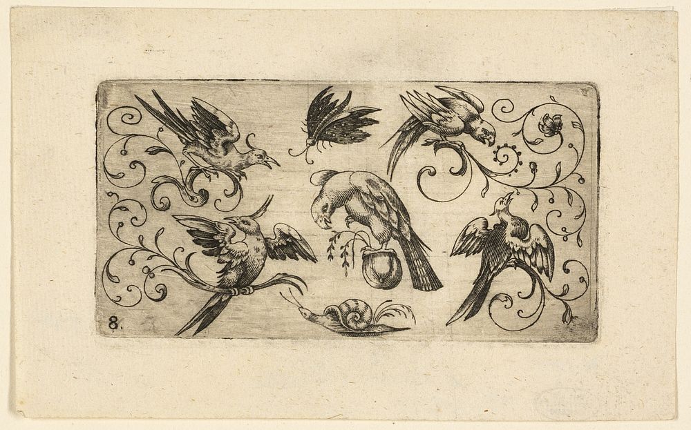 Ornament Panels with Birds: Plate 8 by Adrian Muntink