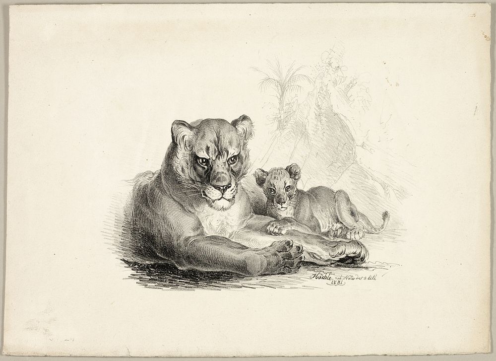 Lion with Cubs by Johann Höchle