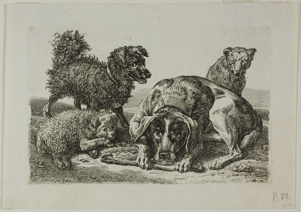 Four Dogs, from Die Zweite Thierfolge by Johann Christian Reinhart